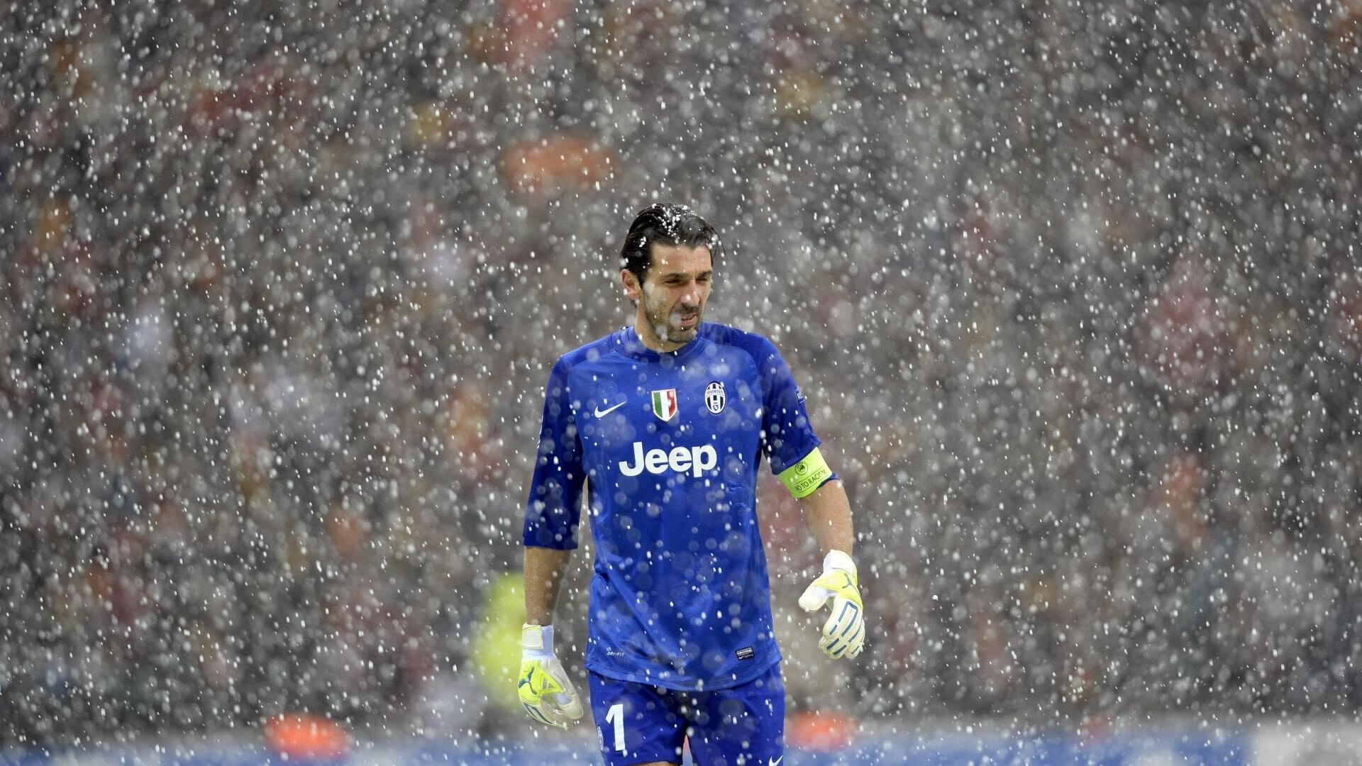 约基奇教科书式统治,当智慧成为最锋利的角,刺穿了紫金王朝最后的骄傲